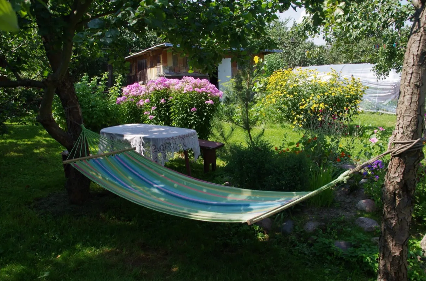 Hammock in a flowering garden