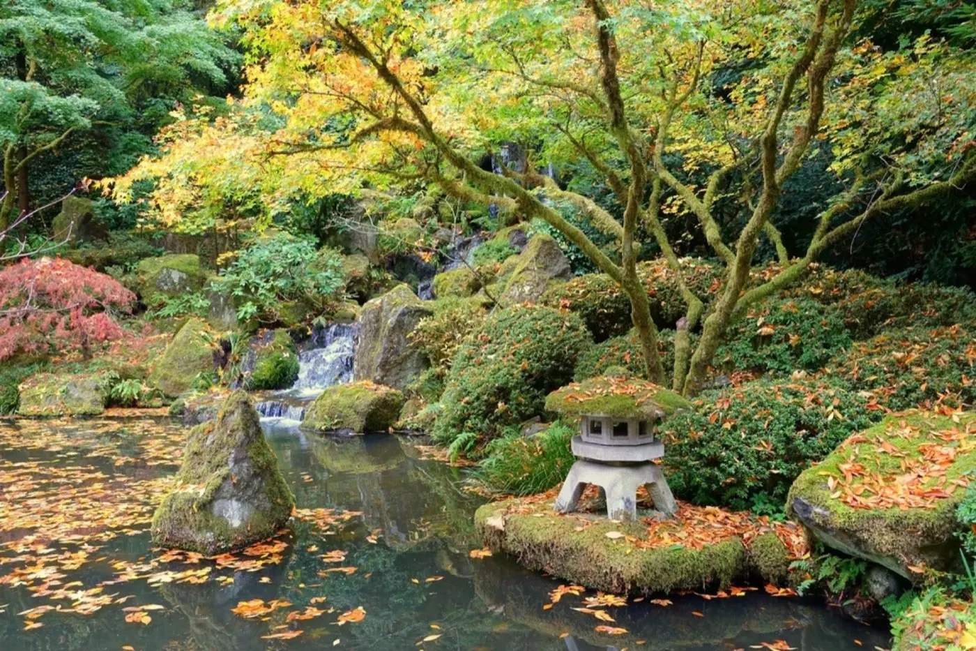Japanese garden with a stone lantern beside a pond