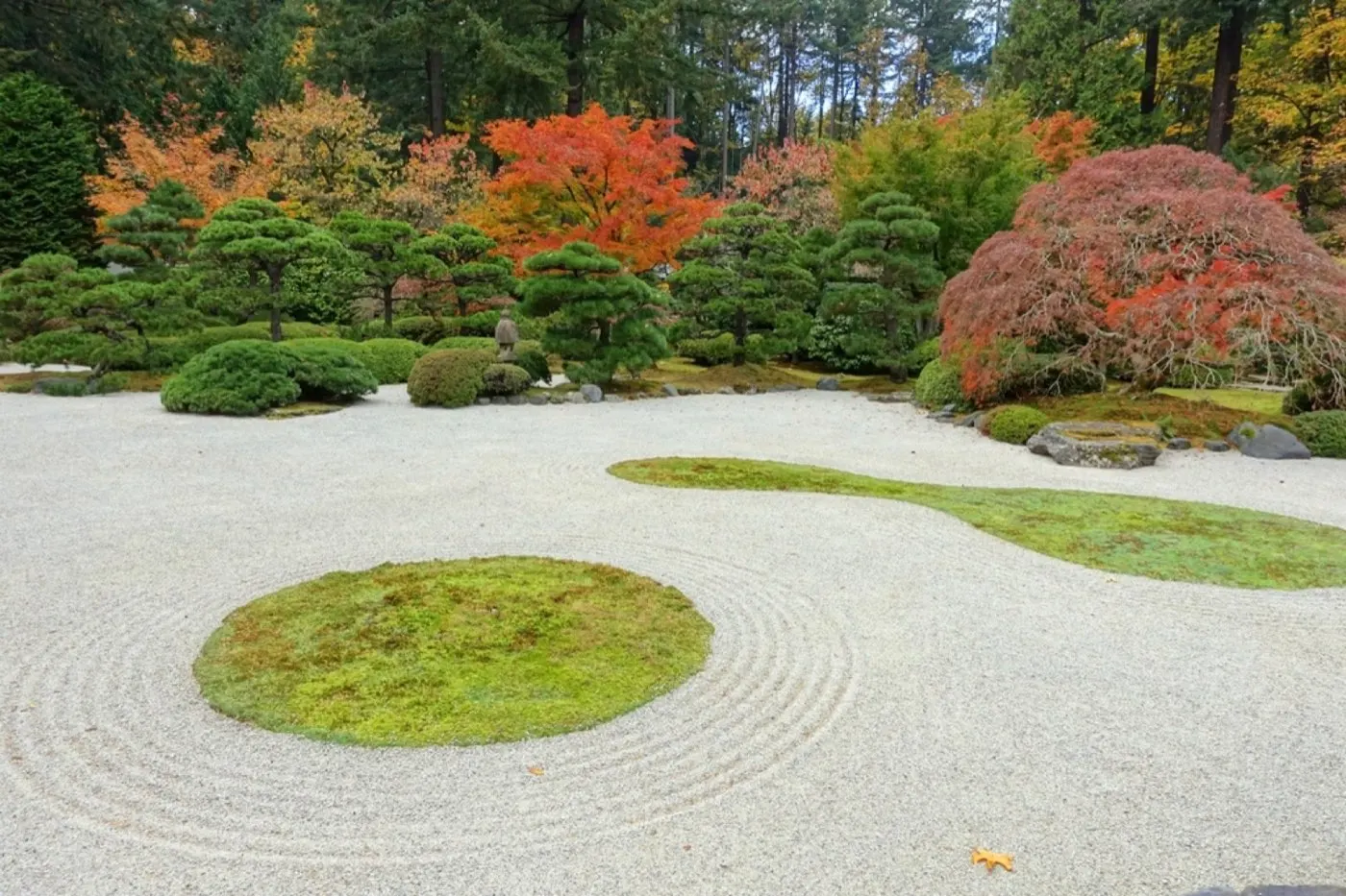 Japanese garden with raked gravel and moss islands
